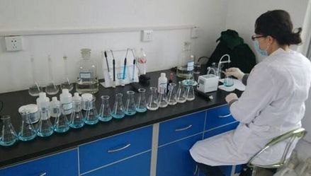 上海環(huán)境檢測咨詢服務有限公司