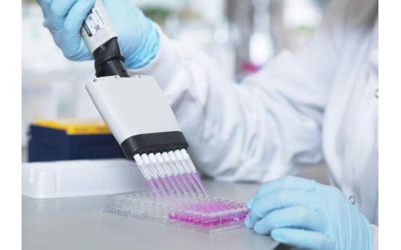 水質(zhì)檢測報告