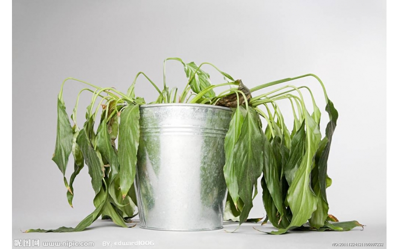 上海甲醛檢測機構檢測室內裝修頭號公敵甲醛