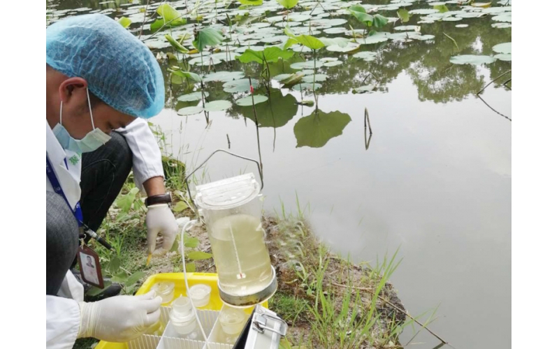 河道水水質檢測現場
